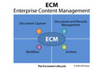  ECM-       -