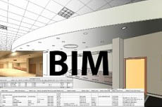      BIM