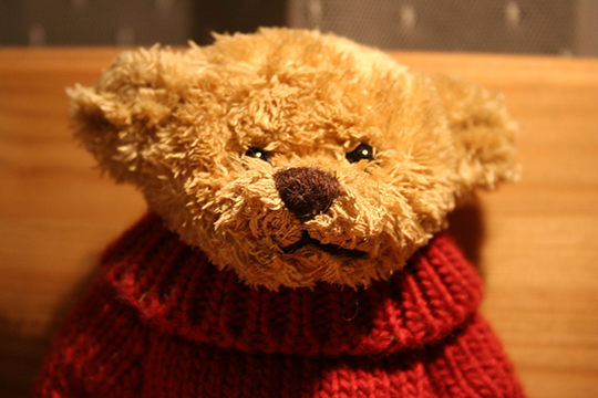 Teddy ()
